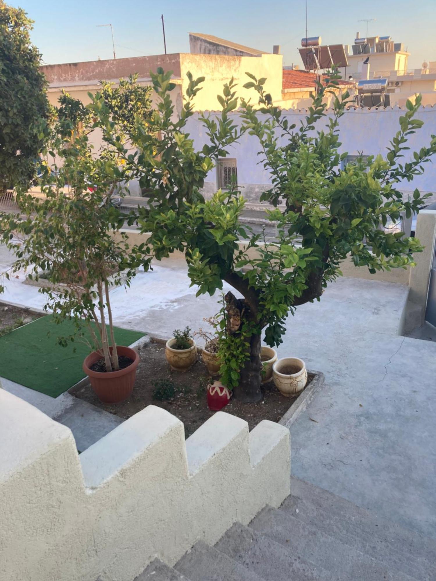 Ferienwohnung Lemonia Mégara Exterior foto