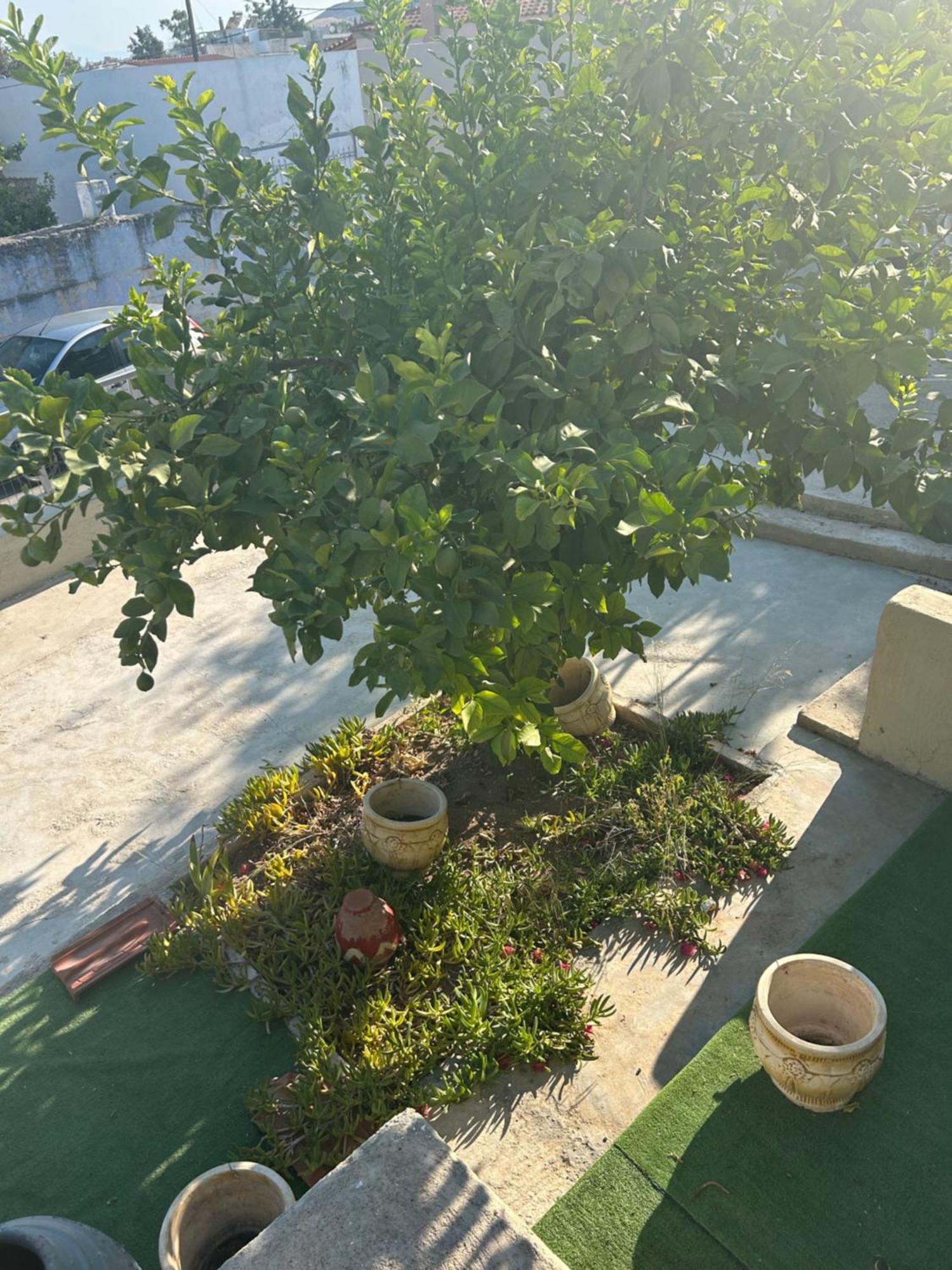Ferienwohnung Lemonia Mégara Exterior foto