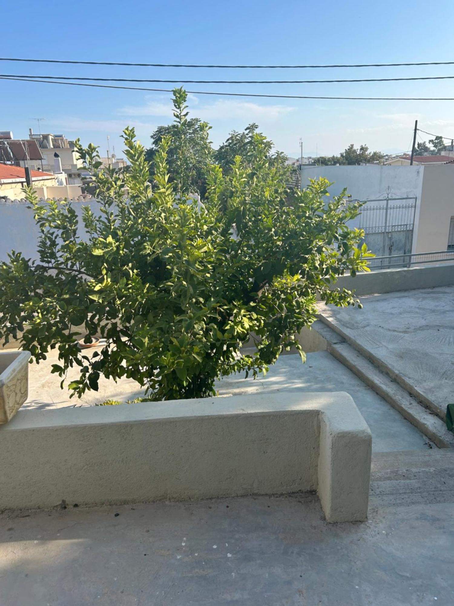 Ferienwohnung Lemonia Mégara Exterior foto